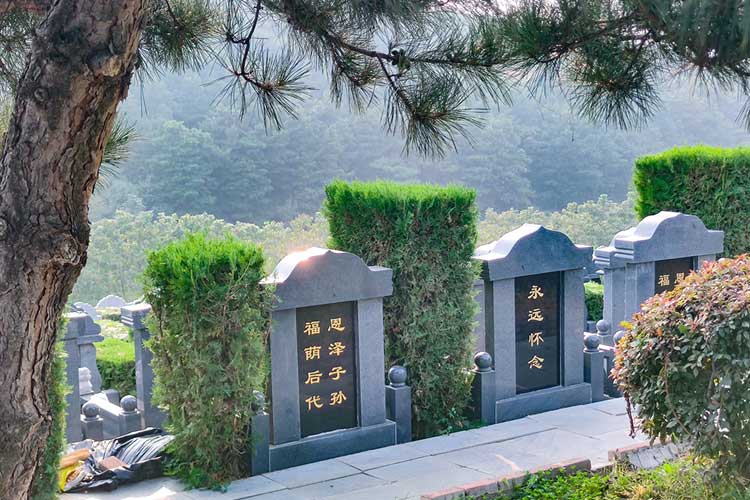 沈阳永乐青山墓园2025年墓型种类全解析：诠释纪念的艺术