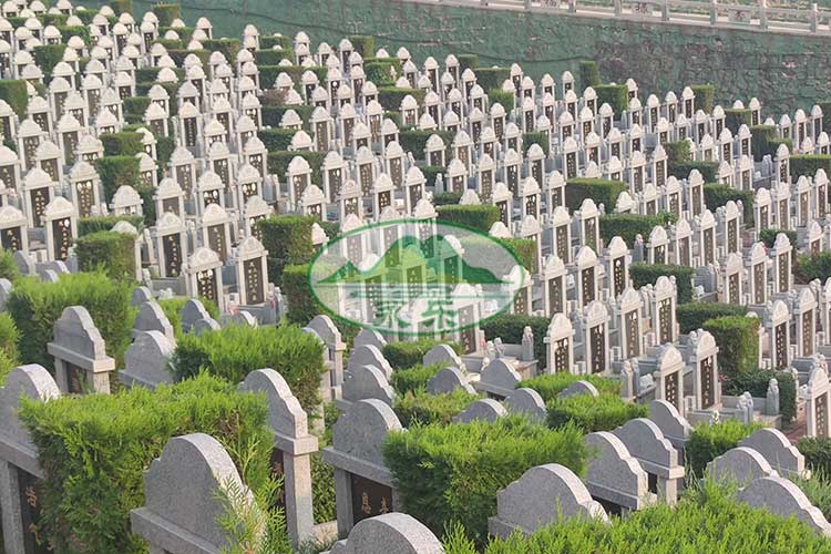沈阳墓园实惠之选：经济实惠，温馨缅怀的圣地