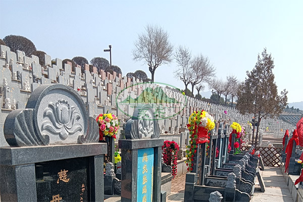 沈阳陵园树葬补贴申请与墓园人流情况分析