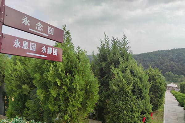 壁葬服务有哪些深远的意义，沈阳陵园如何体现对逝者的尊重和纪念？