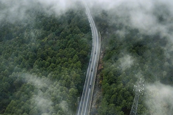 沈阳棋盘山墓地的树葬