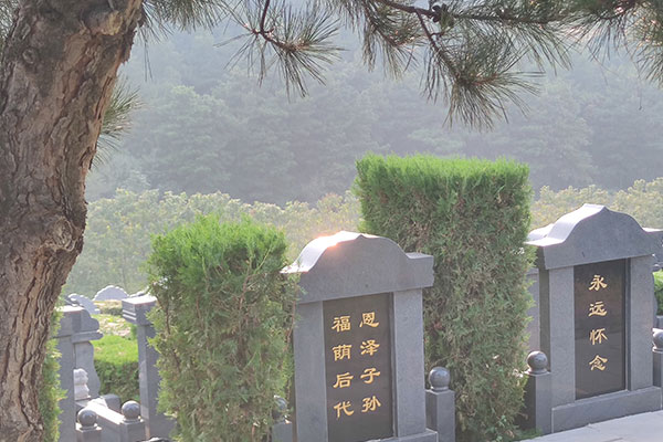 选择沈阳公墓时应考虑哪些主要因素？